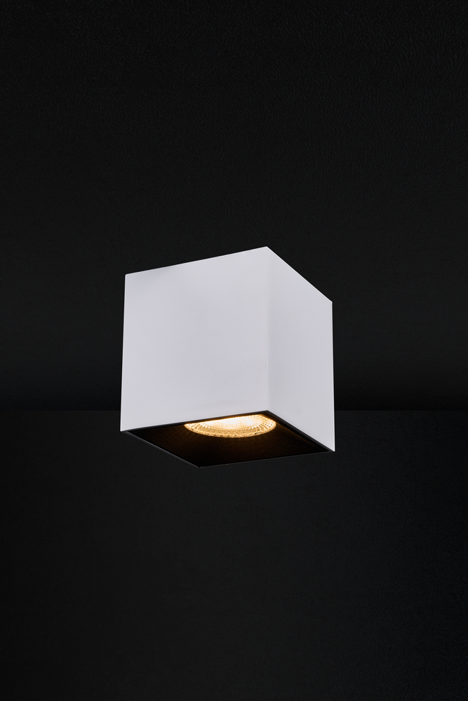 Qube 80 PL